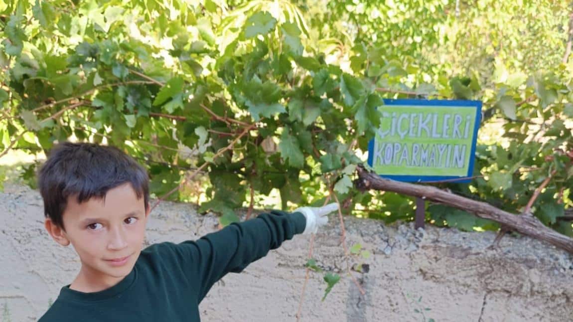 YEŞİL VATAN PROJESİ KAPSAMINDA OKULUMUZDA GERÇEKLEŞTİRİLEN ETKİNLİKLER 